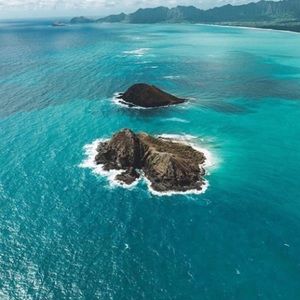 Meet your Posher, Philip